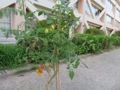 IMG_5419 IMG_5419