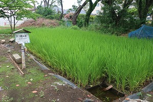 IMG_4983 IMG_4983