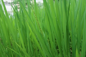 IMG_4999 IMG_4999