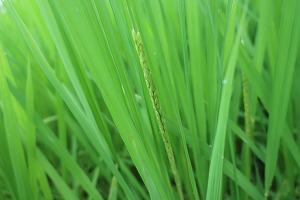 IMG_5006 IMG_5006
