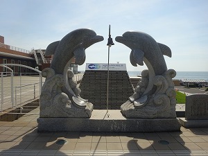 DSC02735 DSC02735