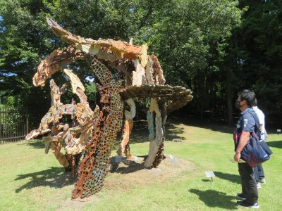 IMG_5447 IMG_5447