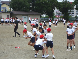 IMG_0142 IMG_0142