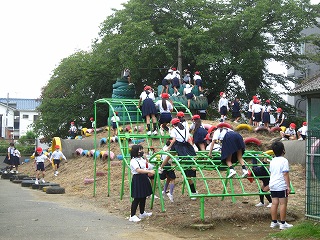 IMG_0147 IMG_0147