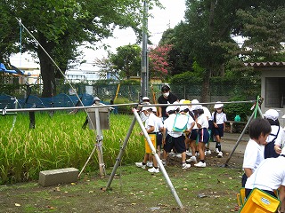IMG_0054 IMG_0054