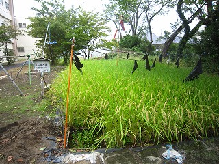 IMG_0057 IMG_0057