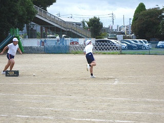 IMG_0115 IMG_0115