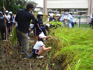 IMG_0200 IMG_0200