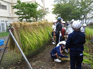 IMG_0209 IMG_0209