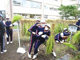 IMG_0219 IMG_0219