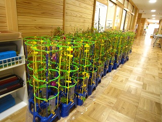 IMG_0242 IMG_0242