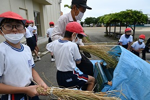 DSC_2341 DSC_2341