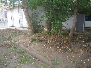 IMG_0015 IMG_0015