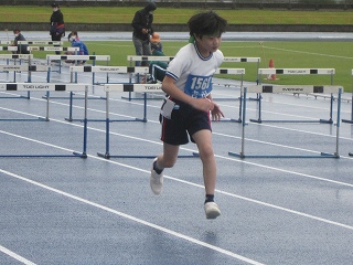 IMG_0100 IMG_0100