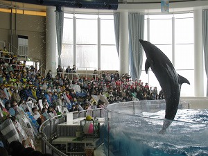 IMG_0371 IMG_0371