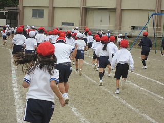 IMG_0177 IMG_0177
