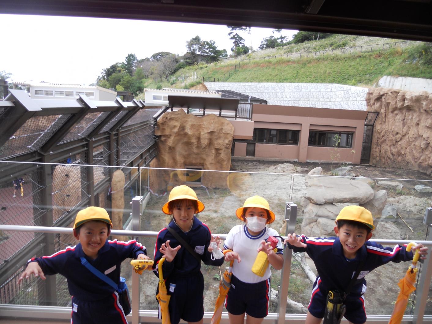 DSCN6335 DSCN6335