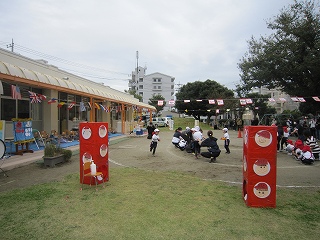 IMG_0246 IMG_0246