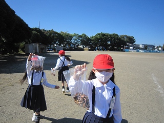 IMG_0274 IMG_0274