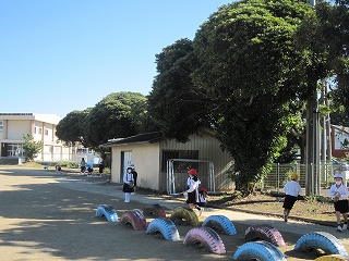 IMG_0279 IMG_0279