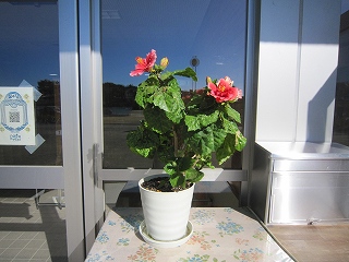 IMG_0397 IMG_0397