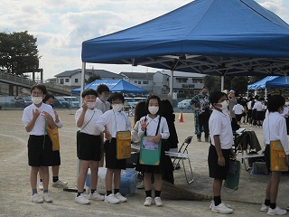 IMG_0542 IMG_0542
