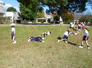 P1050615_1 P1050615_1