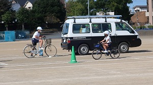 IMG_5284 IMG_5284