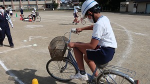 IMG_5287 IMG_5287