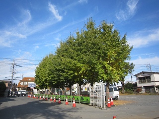 IMG_0073 IMG_0073