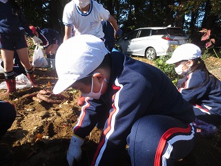 IMG_2650 IMG_2650