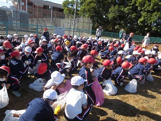 IMG_2655 IMG_2655
