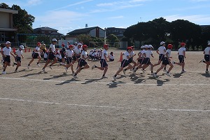 IMG_5356 IMG_5356