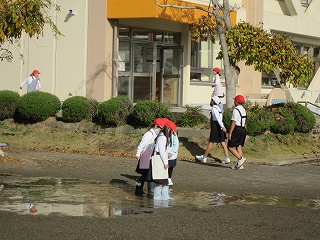 IMG_0156 IMG_0156