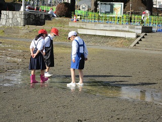 IMG_0163 IMG_0163