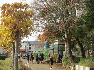 IMG_0205 IMG_0205