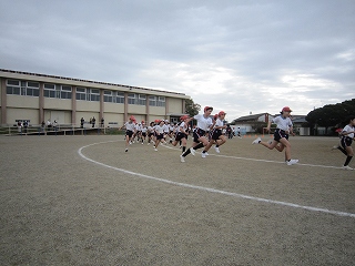 IMG_0239 IMG_0239