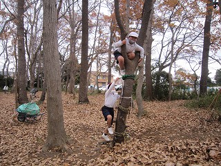 IMG_0247