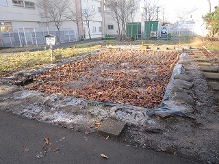 IMG_0093 IMG_0093