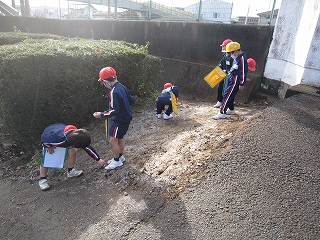 IMG_0090 IMG_0090