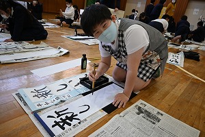 DSC_3696 DSC_3696