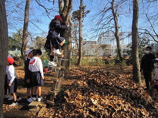 IMG_0138 IMG_0138