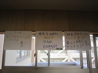 IMG_0081 IMG_0081