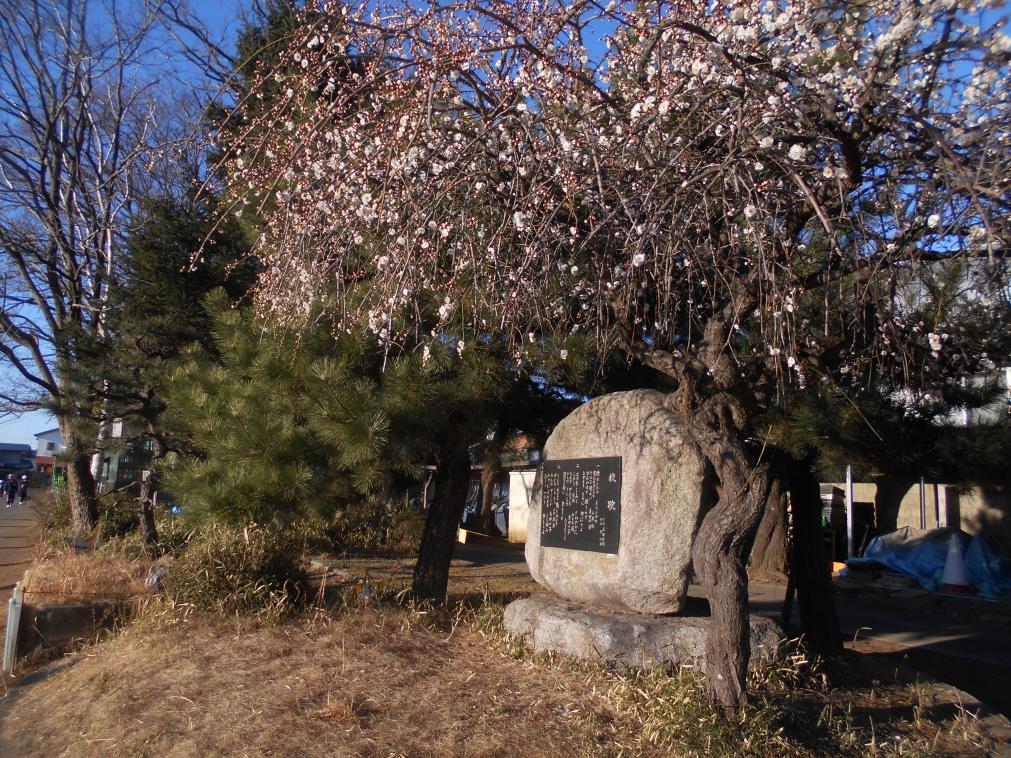 DSCN3385 DSCN3385