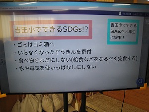 IMG_6049 IMG_6049