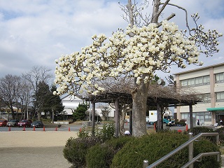 IMG_0128 IMG_0128