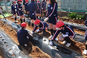 IMG_5701 IMG_5701