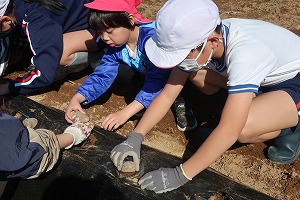 IMG_5697 IMG_5697