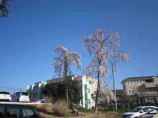 IMG_0255 IMG_0255