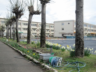 IMG_0299 IMG_0299